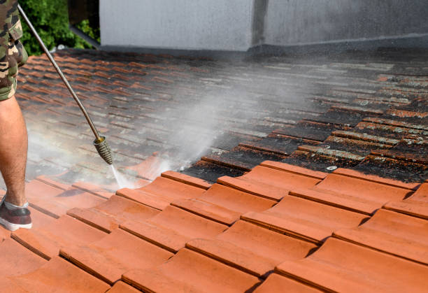 Best Pressure Washing Near Me  in Kayak Point, WA